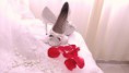 /album/clientes-vip/dsc06828-jpg/